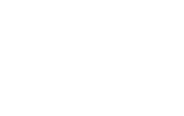 zenith logo-white